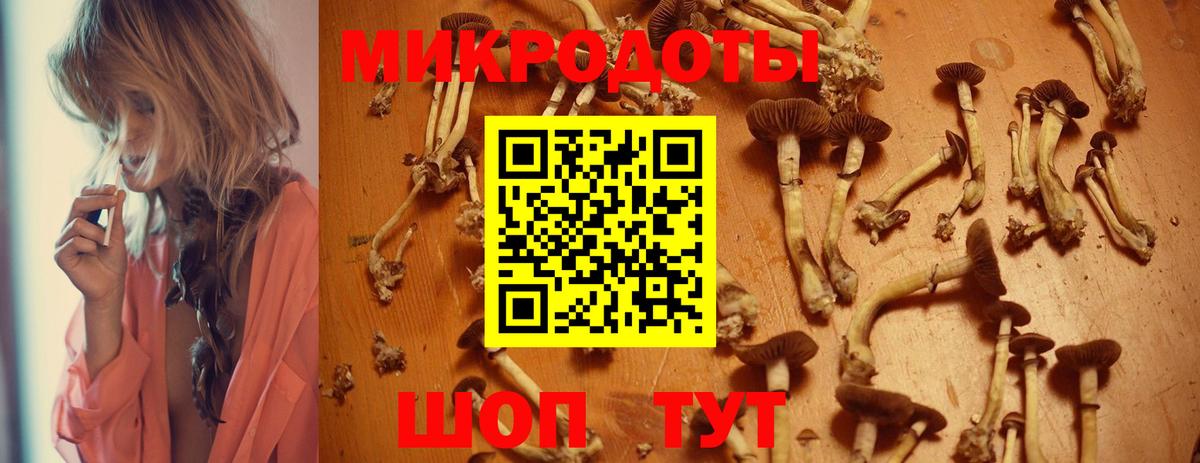Псилоцибиновые грибы Psilocybine cubensis Лысьва